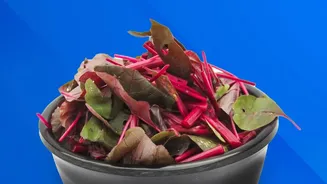 Microbites Aim To Turn Inedible Waste Into Useful Food Components