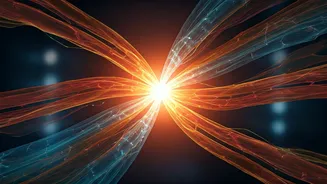 Unlock Your Weight Goals: How Protein Powers Metabolism, Satiety, and Fat Loss