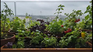 What to Verify before Sharing Claims About Monsoon Balcony Micro-Gardens