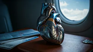 Heart Health in the Skies: Protecting Your Heart During Flights