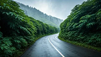 Monsoon Chaser Groups Book Getaways To Scenic Hill Stations