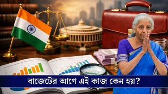Union Budget 2026: বাজেটের আগে হয় অর্থনৈতিক সমীক্ষা, কেন জানেন! কী কাজ এই সমীক্ষার?