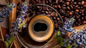 Coffee-Chicory Percentages Could Become the Most Useful Detail on the Pack
