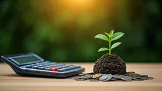 Why SIPs Keep Winning Young Investors