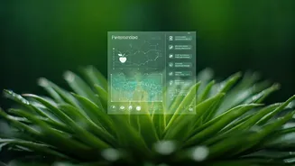 Nourish: A Digital Dietitian Experience Unveiled