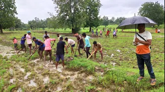 Heavy Rainfall in Odisha Triggers Localised School Closures