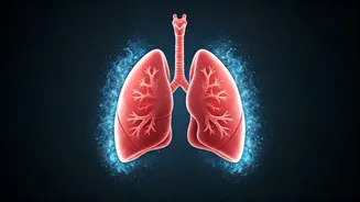 Lung-Function Research Needs Calm Explainers