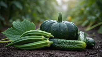 Best Vegetables To Grow During India's Rainy Season
