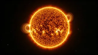 Massive Sun Weighs More Than Ninety Nine Percent Planetary Systems