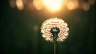 The Power of Self-Love: Robin Sharma's Wisdom for Authentic Connections