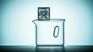 Sweet Deception: Unpacking the Truth About Zero-Calorie Sweeteners
