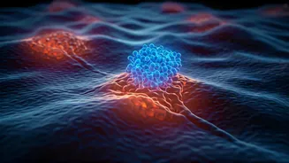 Daraxonrasib: A Promising New Frontier in Pancreatic Cancer Treatment