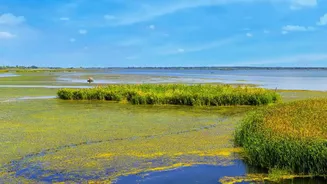 Rajasthan's Current Monsoon Travel Surge Turns Attention To Wetland Breaks In Familiar Dry Landscapes