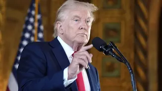 Trump Halts European Tariffs Over Greenland: What Prompted The U-Turn?