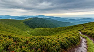 These Rain-Kissed Hills Deserve Your Next Weekend
