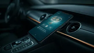 WhatsApp Premium: Unlock Exclusive Features with a New Subscription Plan