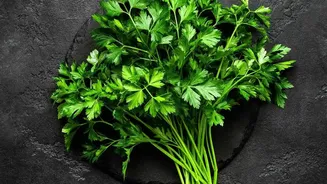 Inside Parsley Recipe Ideas: Adding The Herb To Vegetable Dishes