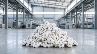 Raw Cotton Import Norms: Explaining The Federal Decision Safeguard Indian Garment Exporters