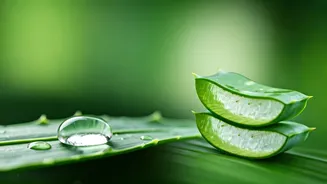 Glycerin vs. Aloe Vera: Unlocking Your Best Glass Skin Glow