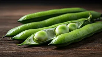 Fava Beans Could Be India’s Next Food Flex
