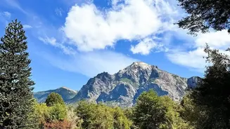 A Window View May Matter More on Scenic Daytime Routes