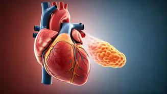 Beyond the Treadmill: Unveiling Hidden Heart Risks in Fit Indians