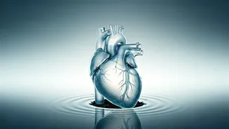 Navigating Life Post-Heart Attack: A Comprehensive Recovery Guide