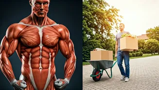 Ditch Bodybuilding: Functional Fitness Focuses On Real Life Strength