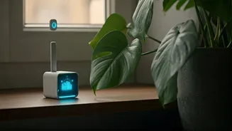 Effortless Greenery: How AI Revolutionizes Indoor Plant Care