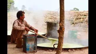 Heavy rainfall and waterlogging reduce sugar production in India