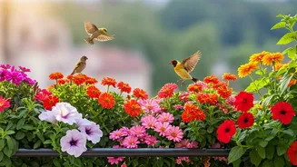Attract Birds With These 10 Balcony Plants