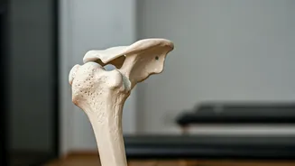 Shoulder Pain Relief: 5 Simple Exercises to Ease Aches