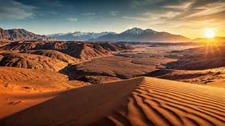 Related Stories banner