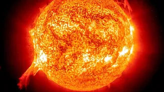 Why The Newly Seen Solar Plasma Wave Matters For Understanding Solar Wave Behaviour