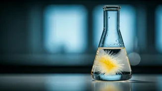 NGT Mandates States to Combat Groundwater Arsenic & Fluoride Threats