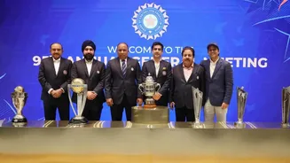 How the BCCI was formed and how Indian cricket was organised?