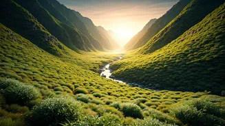 Nature Holidays Are Trending Across India
