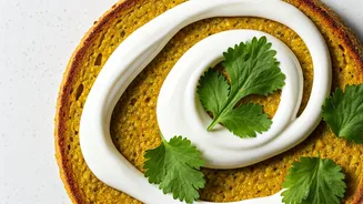 Probiotic Besan Toast: A High-Protein Vegetarian Breakfast Powerhouse