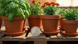 Why You Can Start Epic Terrace Garden For Just Five