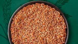 Vegetarians achieve optimal plant protein intake by pairing whole grains with nutritious legumes