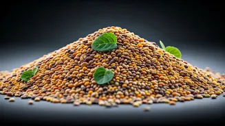 Millet Recipes Continue Winning Healthy Meal Plans