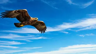 India's Leadership Role Welcomed: Democracy's Champions