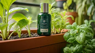 Liquid Seaweed Extract Is The Secret To Hydrated Summer Balconies