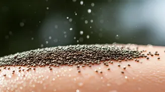 Chia Seeds in Winter: Skin & Hair Savior
