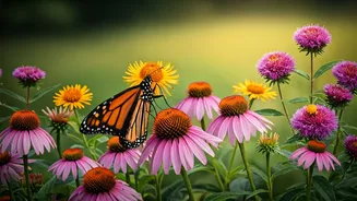 The Pollinator Garden Boom Explained