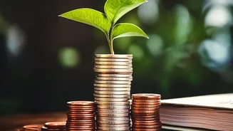 Why Young Indian Professionals Are Using Step Up SIPs To Accelerate Financial Freedom