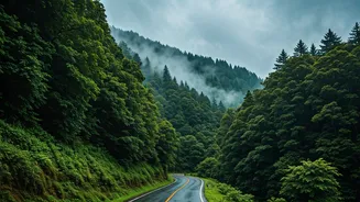 Rain Makes North India's Secret Hills Even Better