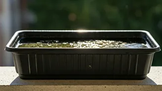 Water-Filled Balcony Trays Are A Silent Problem