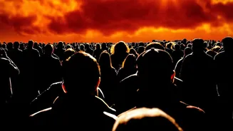 Behavioral Shifts In Movie Habits Why Multiplex Attendance Favors Big Visual Spectacles