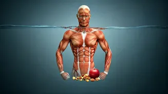 Get Fit: Workout and Nutrition Essentials
